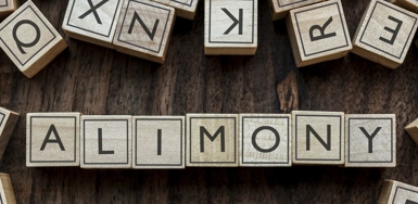 The Smart Uses for Spousal Support Photo